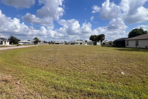 Land in Punta Gorda, Florida № 1533056 - photo 3