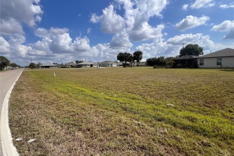 Land in Punta Gorda, Florida № 1533056 - photo 6