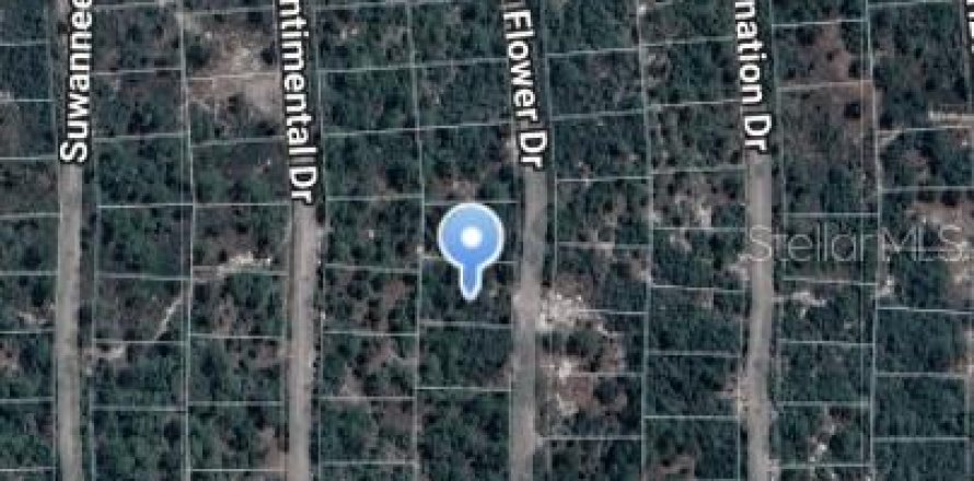Land in Lake Placid, Florida № 2164168