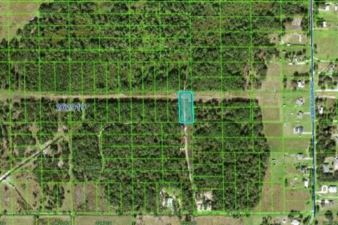 Land in Winter Haven, Florida № 2163765 - photo 3