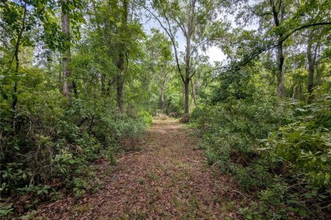 Land in Alachua, Florida № 2095101 - photo 30