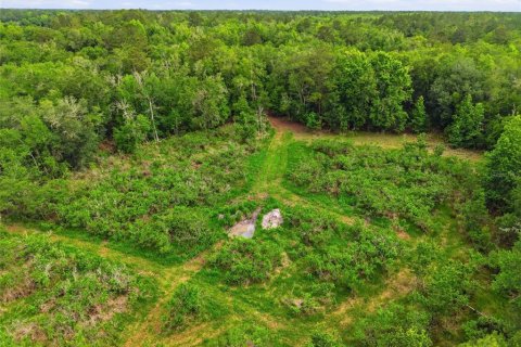 Land in Alachua, Florida № 2095101 - photo 11
