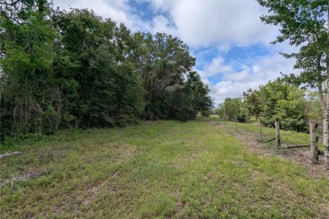Land in Alachua, Florida № 2095101 - photo 16