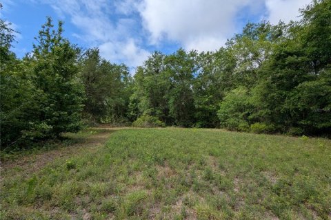 Land in Alachua, Florida № 2095101 - photo 25