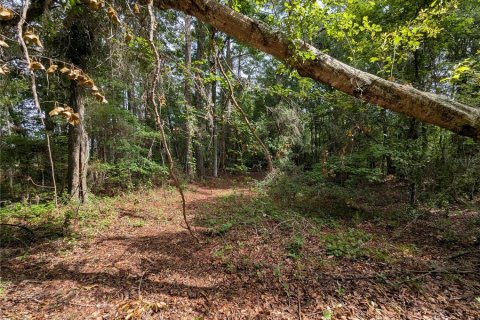 Land in Alachua, Florida № 2095101 - photo 27