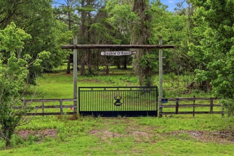 Land in Alachua, Florida № 2095101 - photo 14