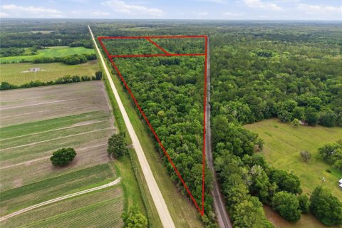 Land in Alachua, Florida № 2095101 - photo 3