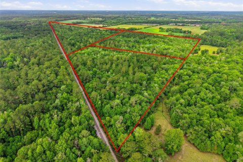 Land in Alachua, Florida № 2095101