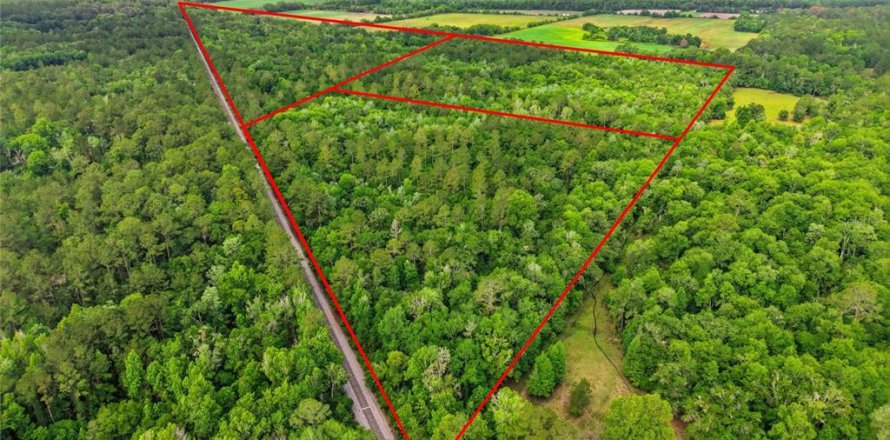 Land in Alachua, Florida № 2095101