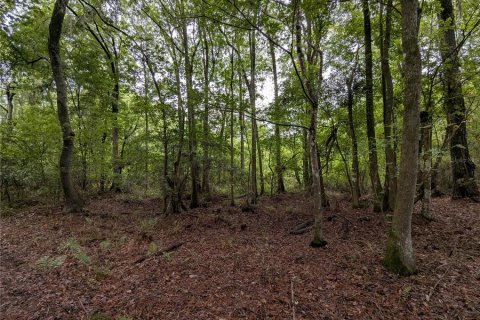 Land in Alachua, Florida № 2095101 - photo 28