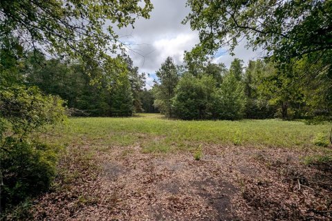 Land in Alachua, Florida № 2095101 - photo 24