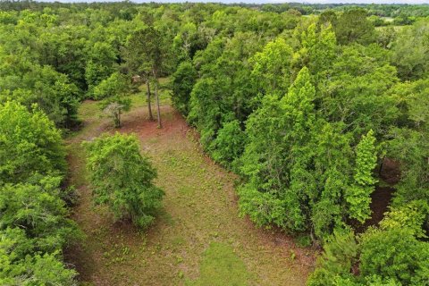Land in Alachua, Florida № 2095101 - photo 13