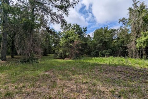 Land in Alachua, Florida № 2095101 - photo 19