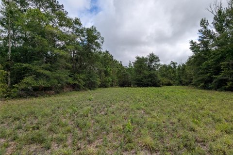 Land in Alachua, Florida № 2095101 - photo 26