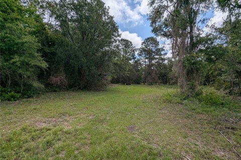 Land in Alachua, Florida № 2095101 - photo 15