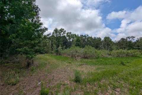 Land in Alachua, Florida № 2095101 - photo 23