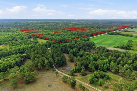 Land in Alachua, Florida № 2095101 - photo 4