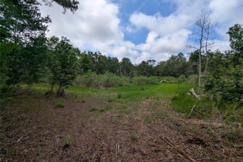 Land in Alachua, Florida № 2095101 - photo 22