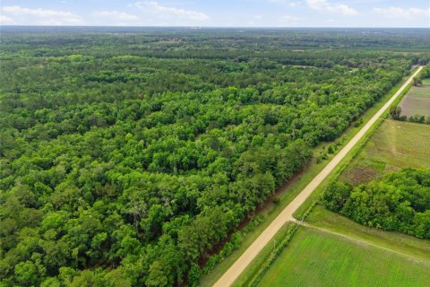 Land in Alachua, Florida № 2095101 - photo 8