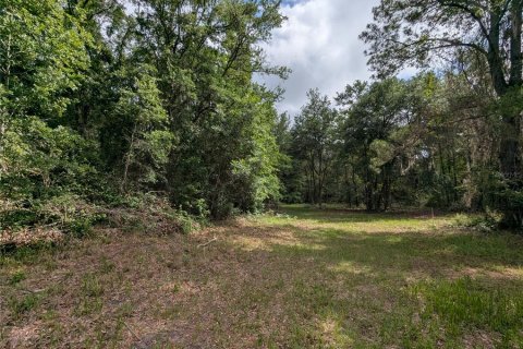 Land in Alachua, Florida № 2095101 - photo 18