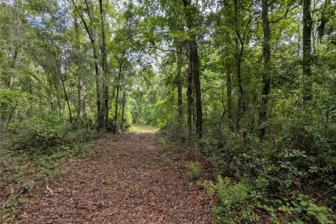 Land in Alachua, Florida № 2095101 - photo 29