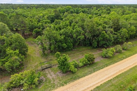 Land in Alachua, Florida № 2095101 - photo 9