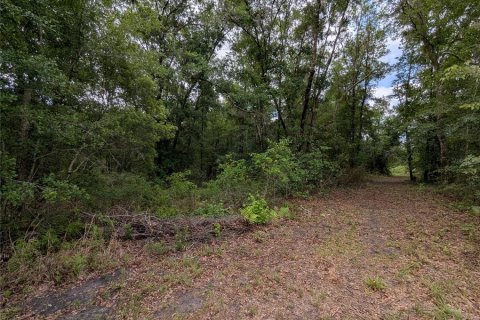 Land in Alachua, Florida № 2095101 - photo 21