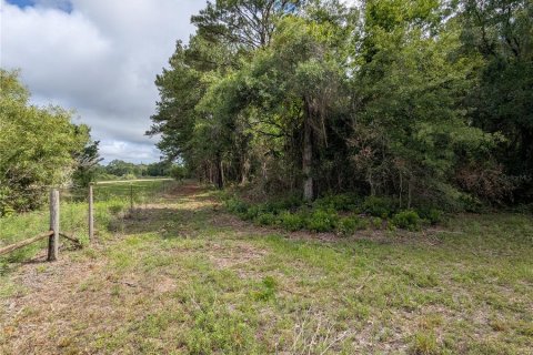 Land in Alachua, Florida № 2095101 - photo 17