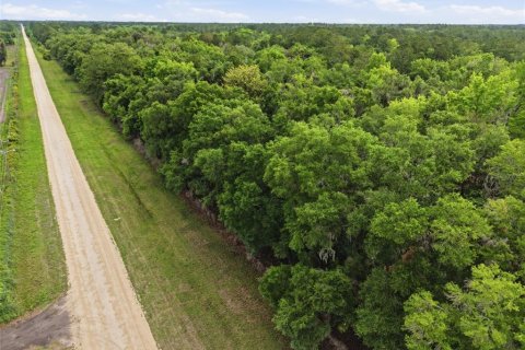 Land in Alachua, Florida № 2095101 - photo 10