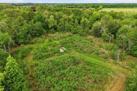 Land in Alachua, Florida № 2095101 - photo 12