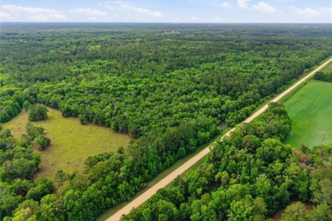 Land in Alachua, Florida № 2095101 - photo 5