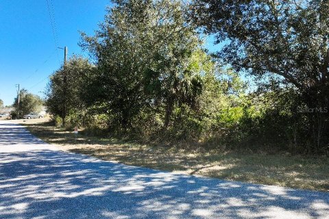 Land in North Port, Florida № 2165321 - photo 5