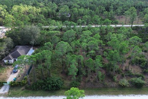 Terreno en venta en Punta Gorda, Florida № 2202969 - foto 2