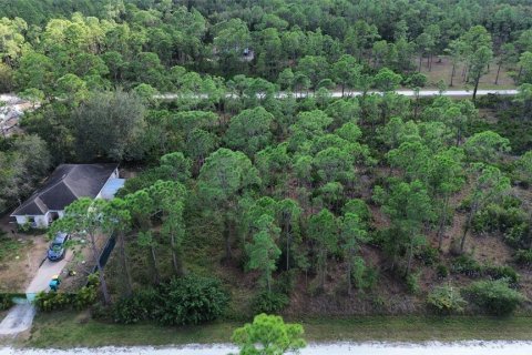 Terreno en venta en Punta Gorda, Florida № 2202969 - foto 3
