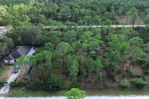 Terreno en venta en Punta Gorda, Florida № 2202969 - foto 4
