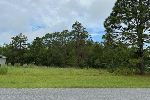Terreno en venta en Ocala, Florida № 1776627 - foto 1
