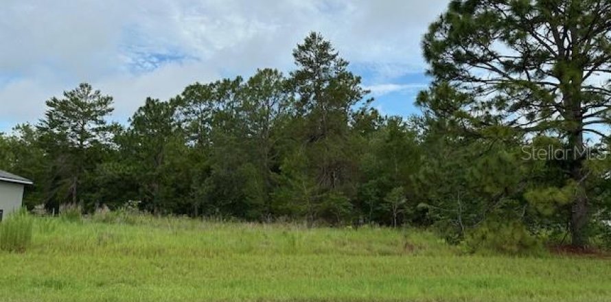 Land in Ocala, Florida № 1776627