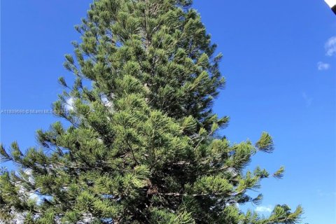 Снять в аренду виллу или дом в Лодерхилл, Флорида 4 спальни, 124.67м2, № 1938597 - фото 3