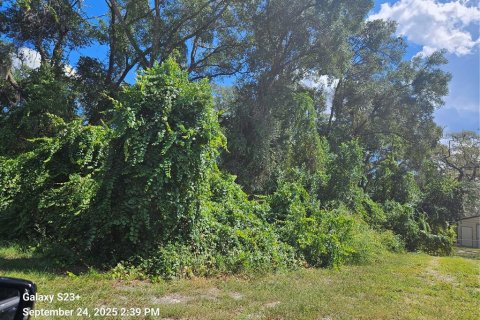 Land in Inverness, Florida № 2162902