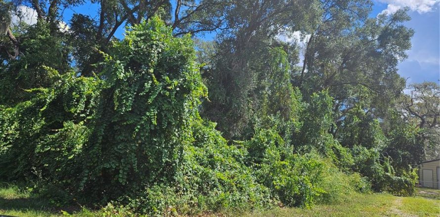 Land in Inverness, Florida № 2162902