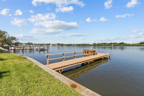 Land in Saint Petersburg, Florida № 1750173 - photo 10