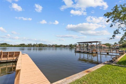 Land in Saint Petersburg, Florida № 1750173 - photo 9