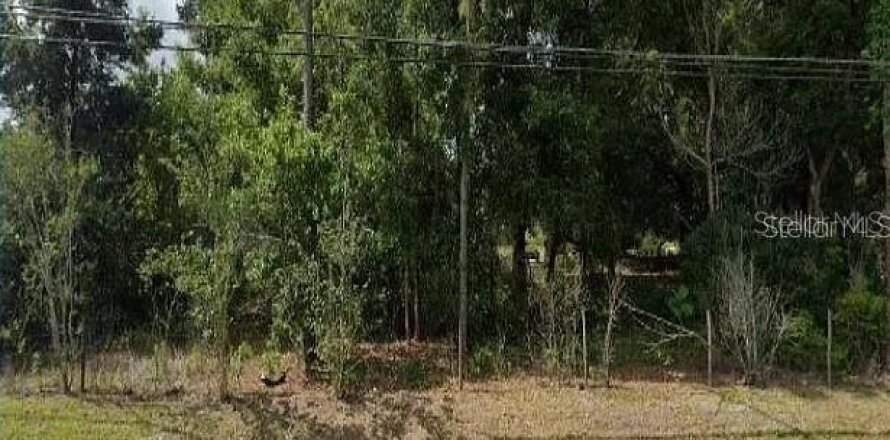 Land in Orlando, Florida № 1358336
