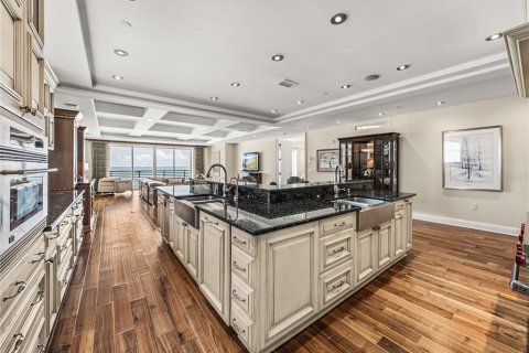 Купить кондоминиум в Сент-Пит-Бич, Флорида 13 комнат, 394.37м2, № 2139596 - фото 21