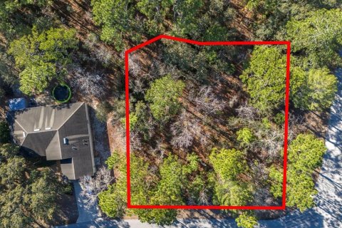 Land in Homosassa, Florida № 2097625 - photo 5