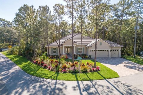 Land in Homosassa, Florida № 2097625 - photo 3