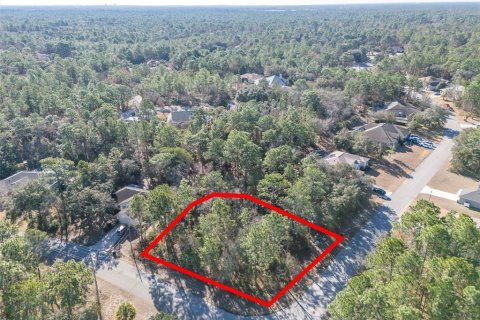 Land in Homosassa, Florida № 2097625 - photo 6