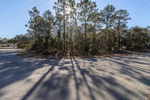 Land in Homosassa, Florida № 2097625 - photo 10