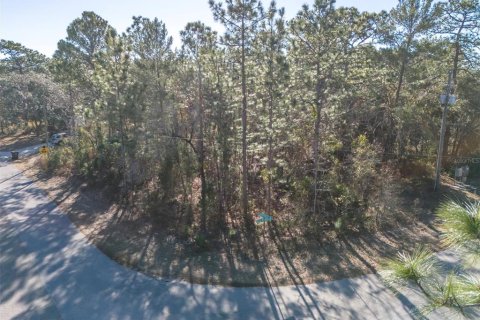 Land in Homosassa, Florida № 2097625 - photo 4