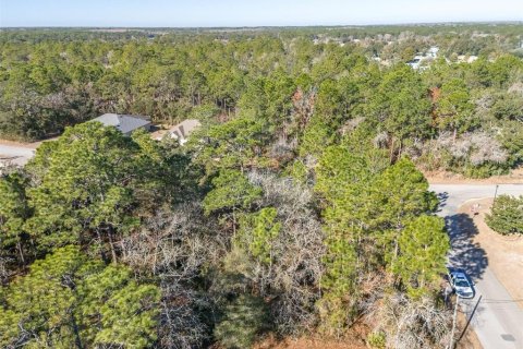 Land in Homosassa, Florida № 2097625 - photo 7